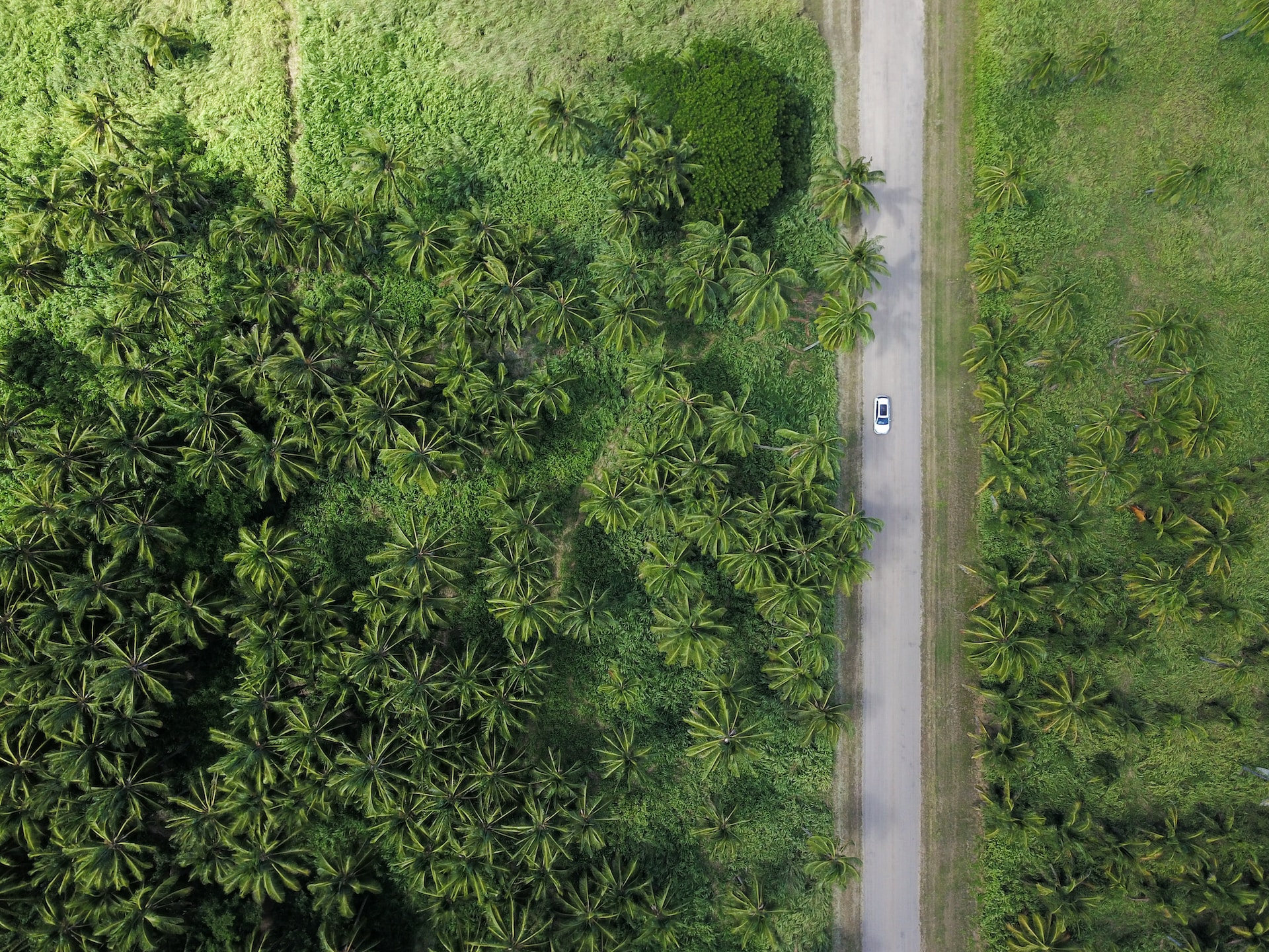 The Significance of an ESG Report and the Role HR Plays in Sustainability