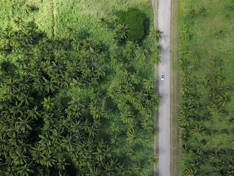The Significance of an ESG Report and the Role HR Plays in Sustainability