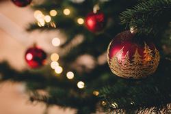 Warm Wishes for the Festive Season and Gratitude for Your Support!
