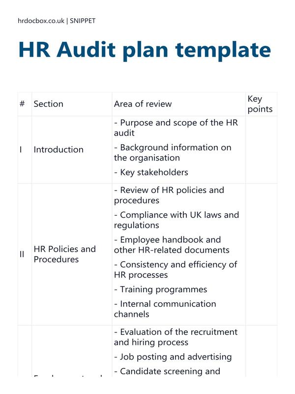 HR Audit plan template preview